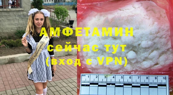 индика Дмитров