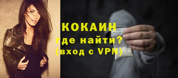 индика Дмитров