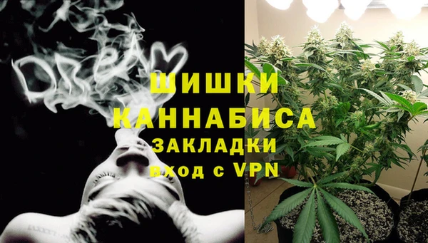 индика Дмитров