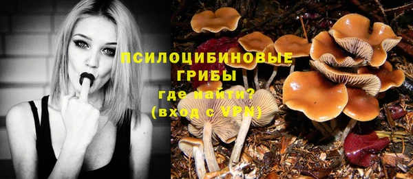 MDMA Premium VHQ Дмитриев