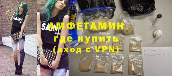 индика Дмитров