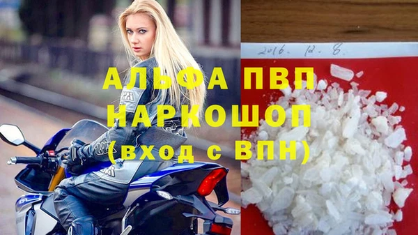 индика Дмитров