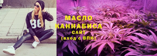 индика Дмитров