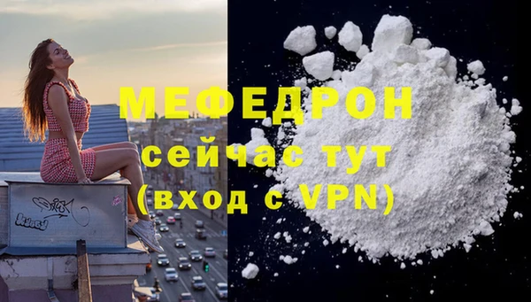 мдпв Гусев