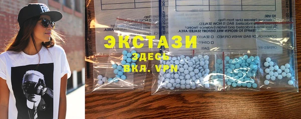мдпв Гусев