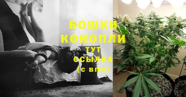 индика Дмитров